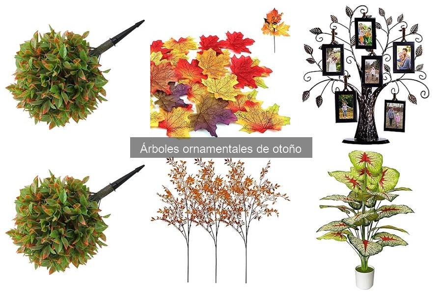 Cuidado de Árboles Ornamentales tras la Caída de Hojas