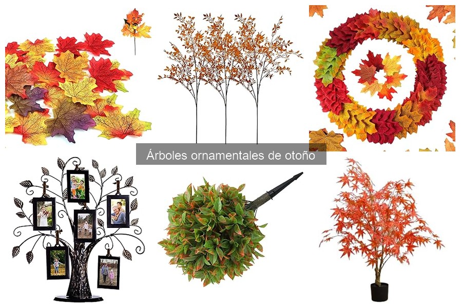 Cuidados de árboles ornamentales en otoño: guía práctica