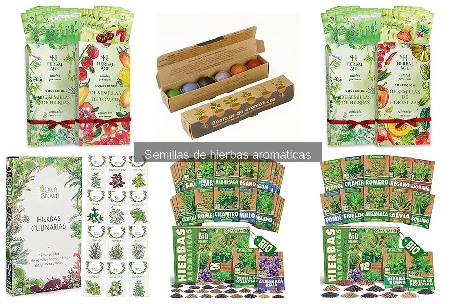Cuidados de Hierbas Aromáticas en Invierno: Guía Esencial