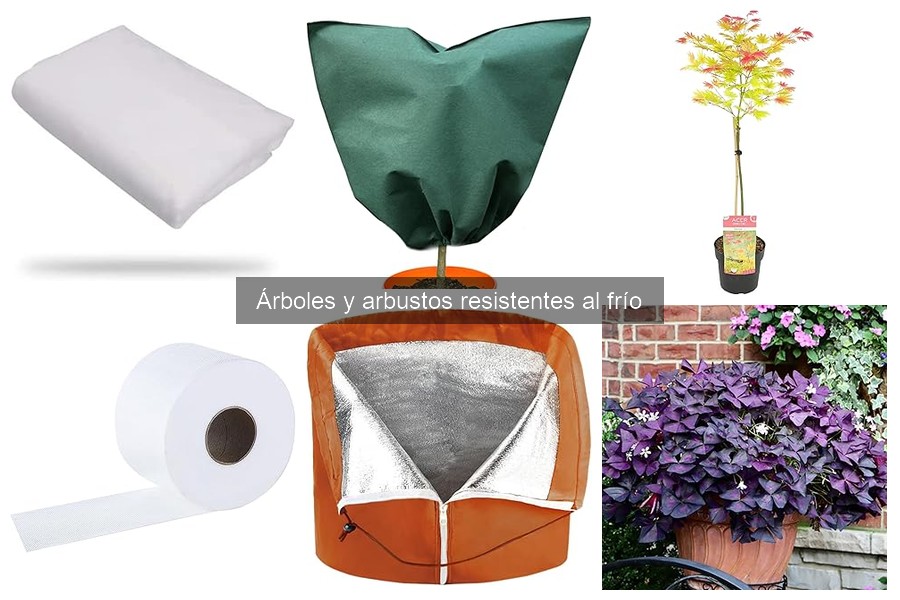 Cuidados Esenciales para Árboles Resistentes al Frío