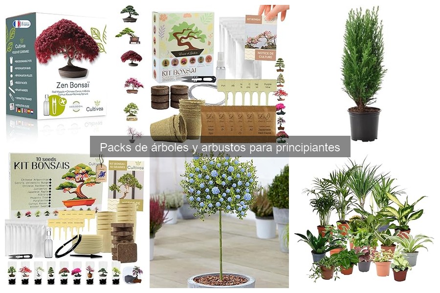 Cuidados Esenciales para Árboles y Arbustos en Pack