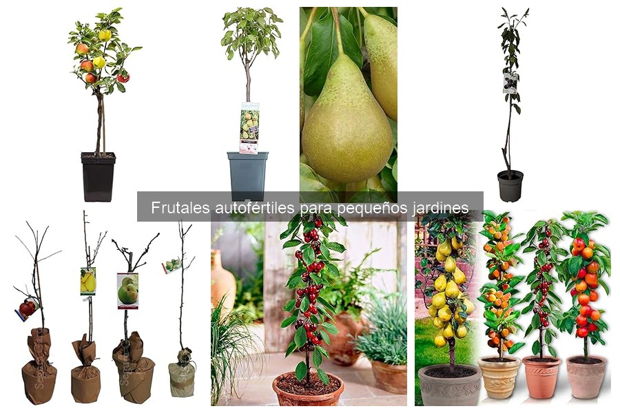 Cuidados Esenciales para Frutales Autofértiles en Jardines