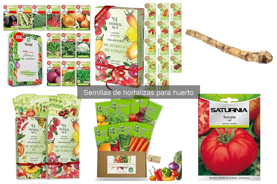 Cuidados esenciales para hortalizas a partir de semillas