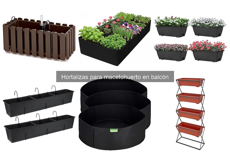 Cuidados esenciales para hortalizas en macetohuerto