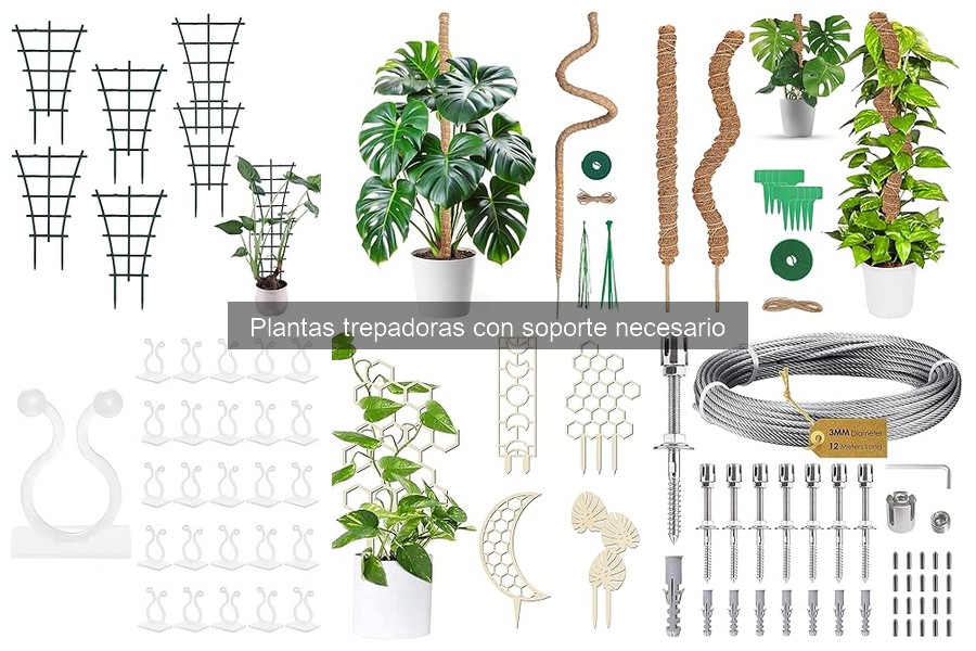 Cuidados Esenciales para Plantas Trepadoras Saludables