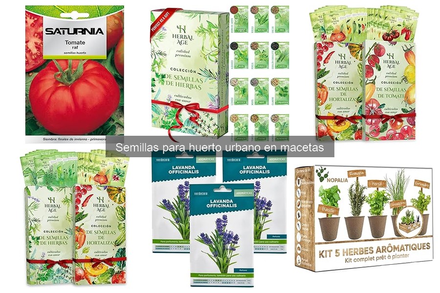 Cuidados Esenciales para Semillas en Macetas