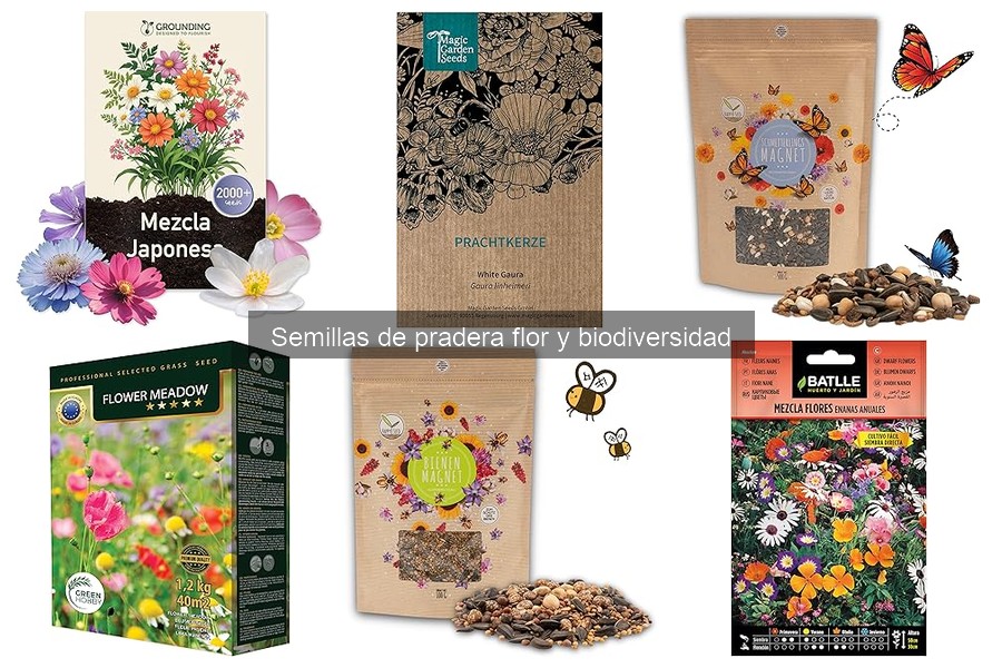 Cuidados Esenciales Tras Siembra de Semillas de Pradera Floral