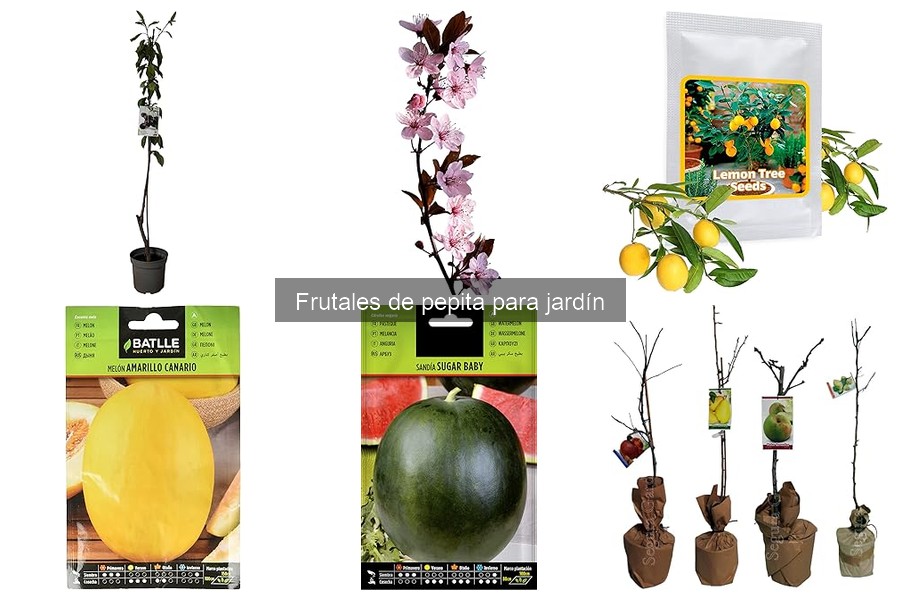 Cuidados Especiales para Frutales de Pepita en Jardín