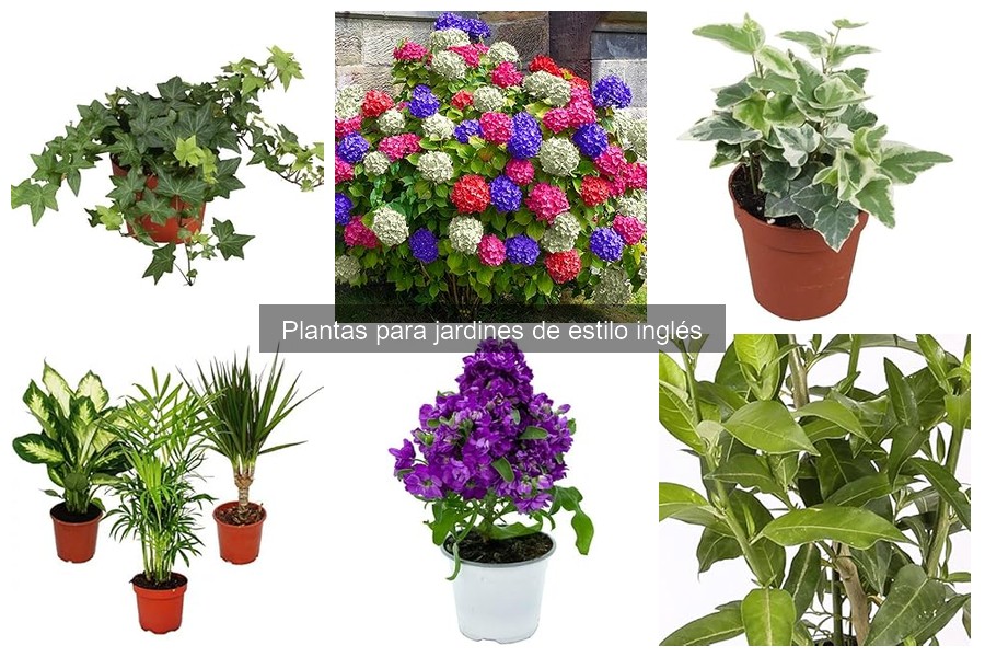 Cuidados Específicos para Plantas de Jardines Ingleses