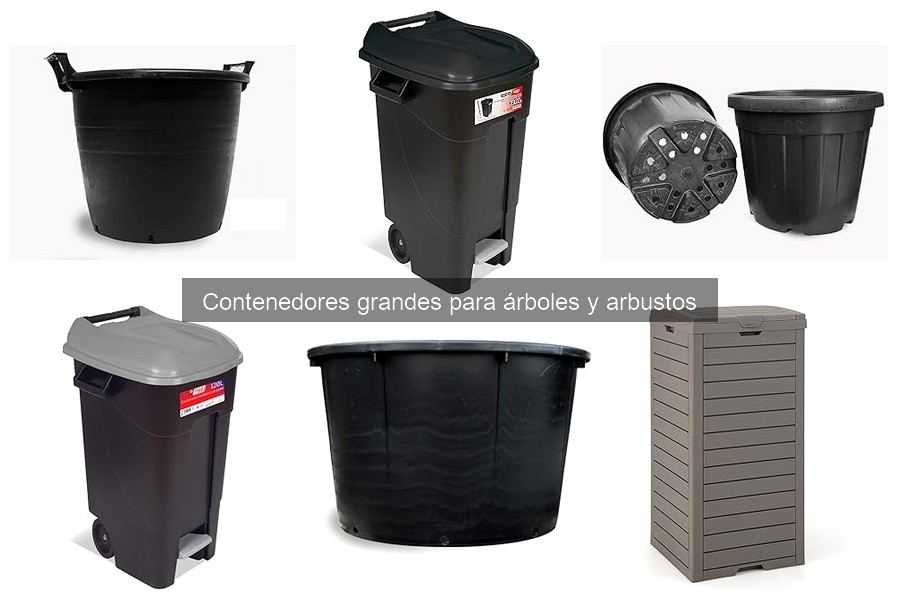 Cuidados estacionales de contenedores grandes para árboles