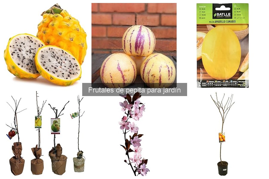 Cuidados Post-Cosecha de Frutales de Pepita en el Jardín