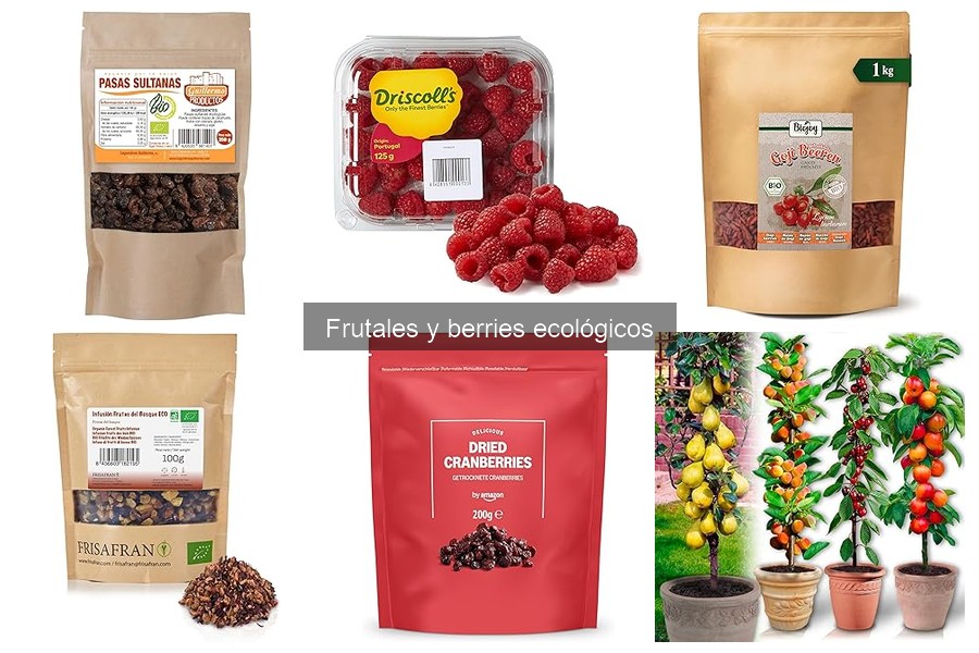 Cultiva frutas en espacios reducidos: ¡Alternativas efectivas!