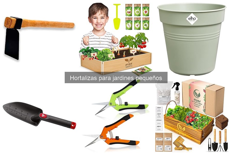 Cultivar hortalizas en macetas: guía práctica y consejos