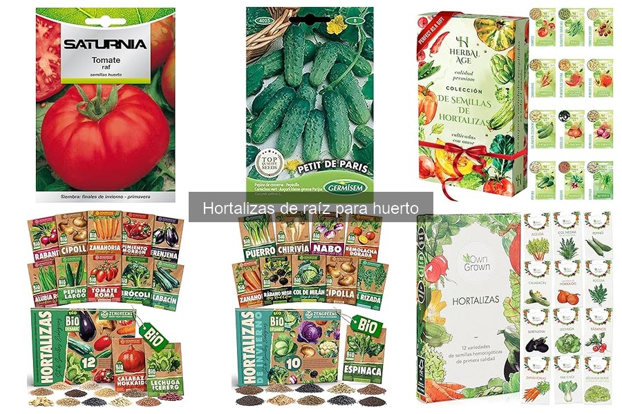 Cultivo de Hortalizas de Raíz en Macetas: Consejos Esenciales
