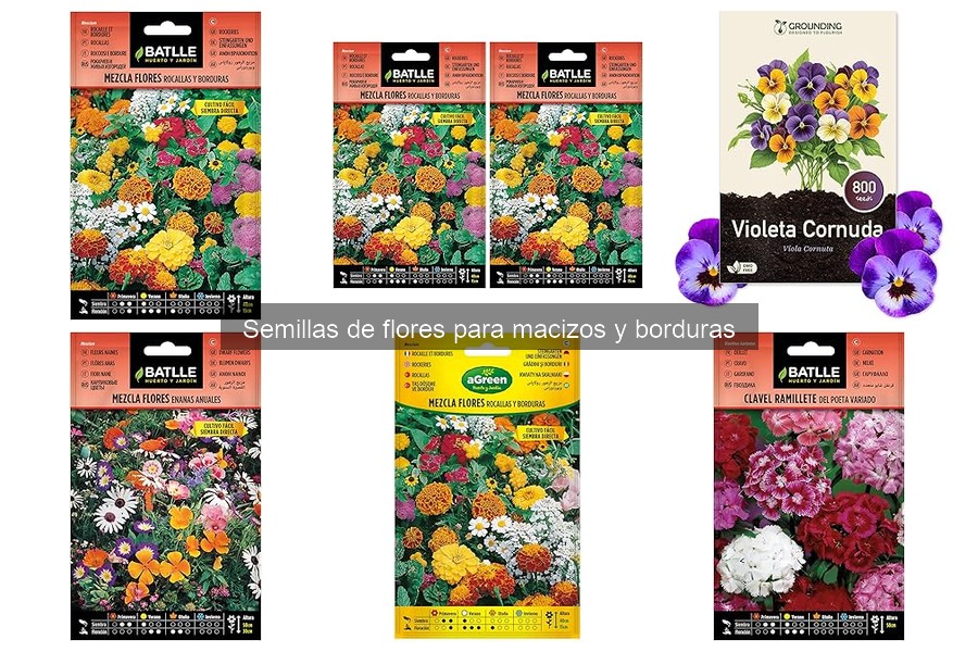 Cultivo de semillas de flores en interiores: guía práctica