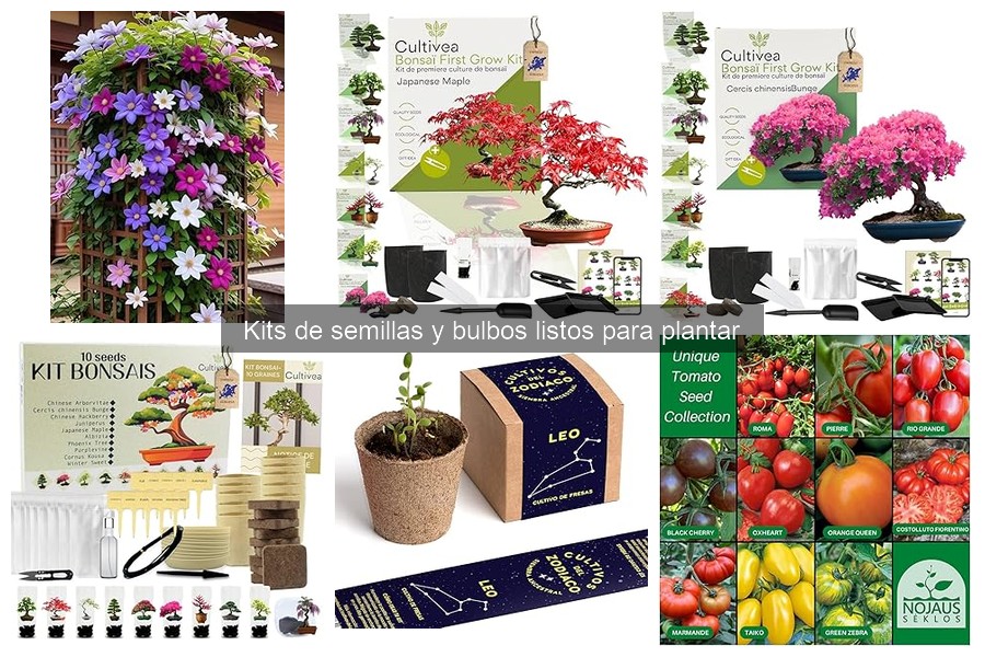 Descubre los Kits de Semillas y Bulbos Listos para Plantar