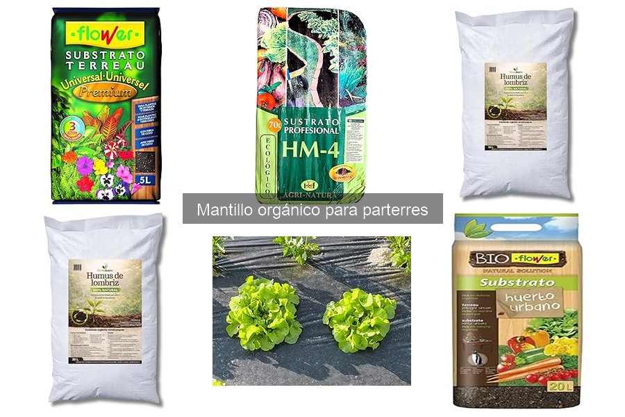 Descubre qué es el mantillo orgánico y sus beneficios