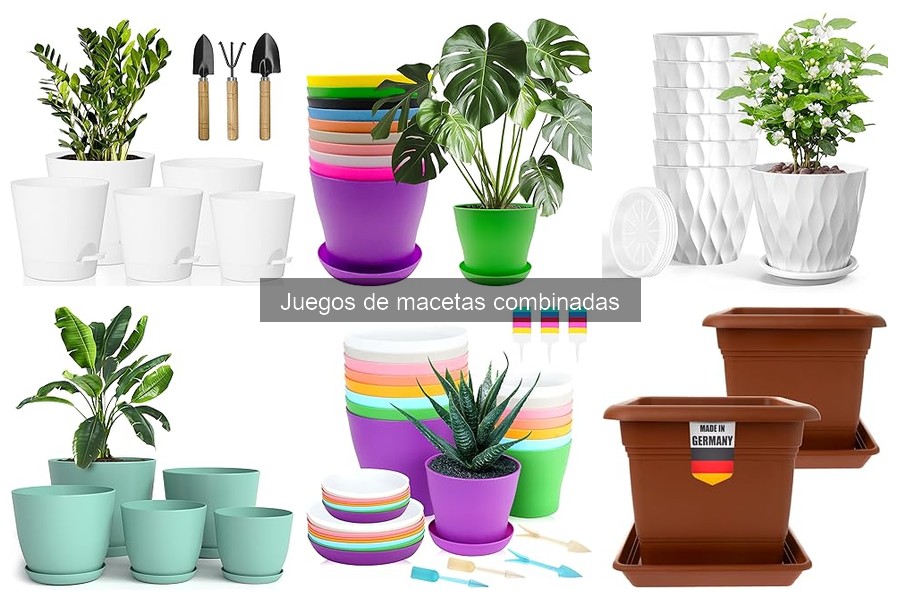 Descubre qué son los juegos de macetas combinadas