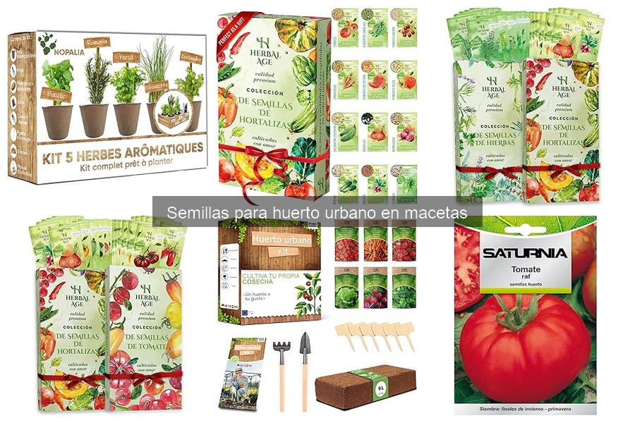 Diferencias entre semillas orgánicas y convencionales para huertos