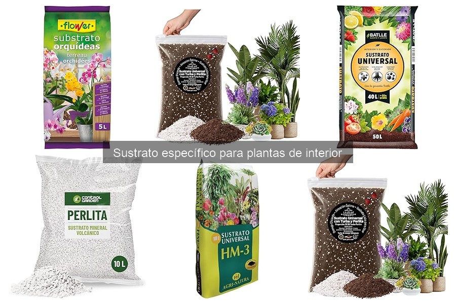 Diferencias entre sustrato orgánico e inorgánico para plantas