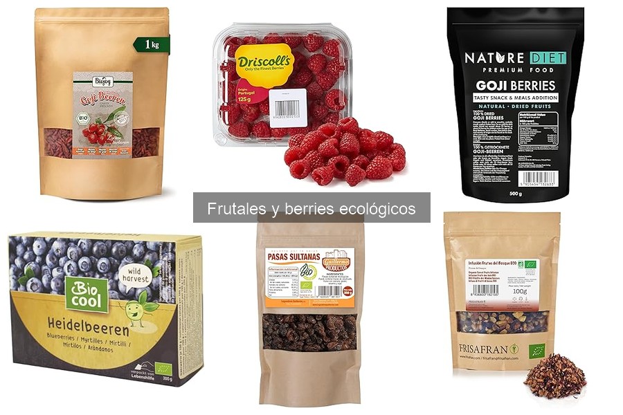 Diseño de jardín con frutales y berries ecológicos
