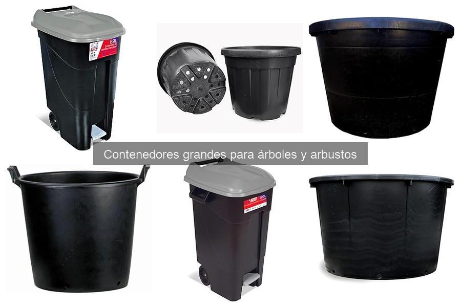 Dónde comprar contenedores grandes para árboles y arbustos