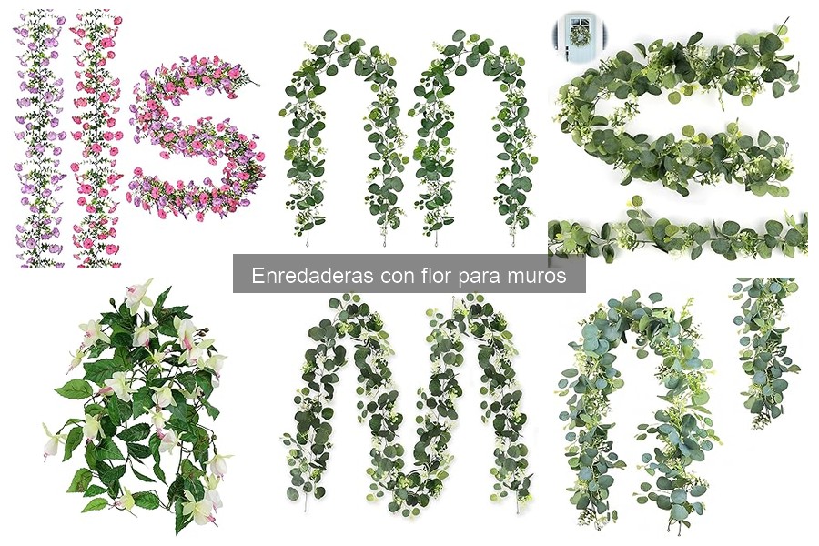 Dónde comprar enredaderas con flor para muros: mejores opciones