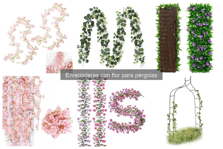Dónde comprar enredaderas con flor para pérgolas