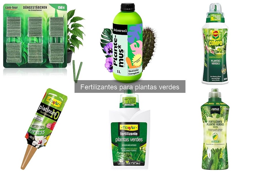 Dónde comprar fertilizantes para plantas verdes: precios y opciones