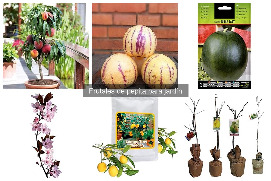 Dónde comprar frutales de pepita a buen precio para tu jardín