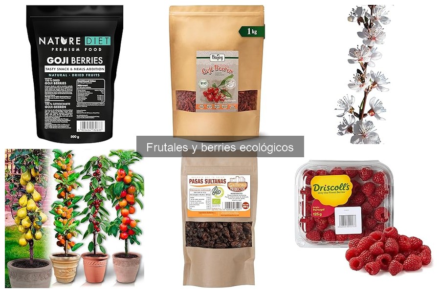 Dónde Comprar Frutales y Berries Ecológicos de Calidad