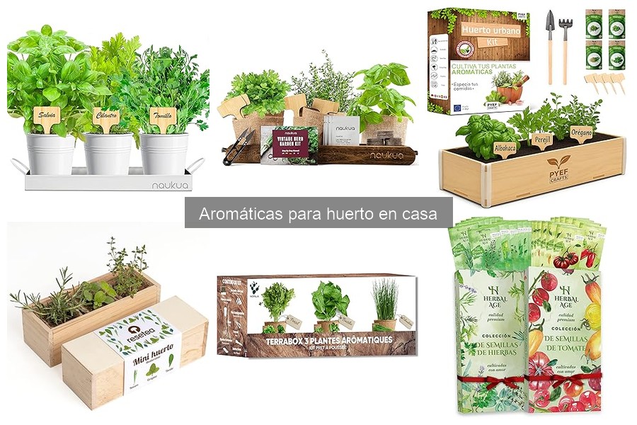 Dónde comprar hierbas aromáticas para cultivar en casa