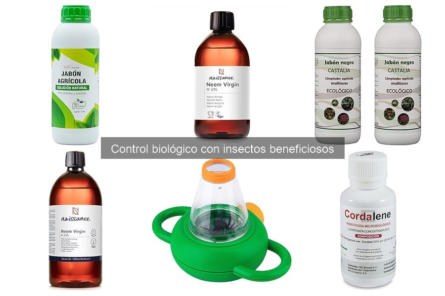 Dónde comprar insectos beneficiosos para tu jardín