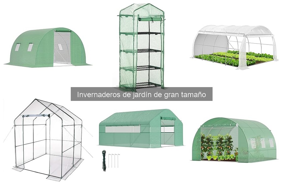 Dónde Comprar Invernaderos de Jardín de Gran Tamaño