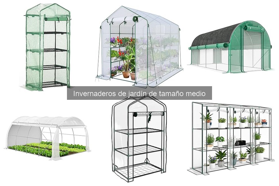 Dónde comprar invernaderos de jardín de tamaño medio