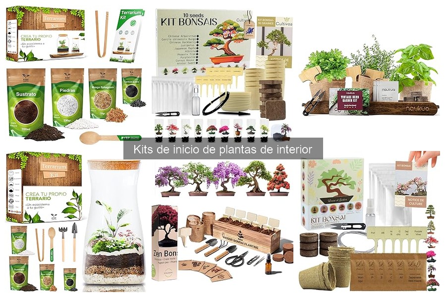 Dónde comprar kits de inicio de plantas de interior y precios