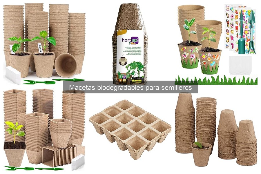 Dónde comprar macetas biodegradables para semilleros