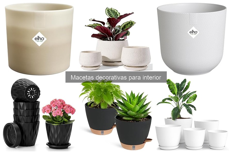 Dónde comprar macetas decorativas a buen precio