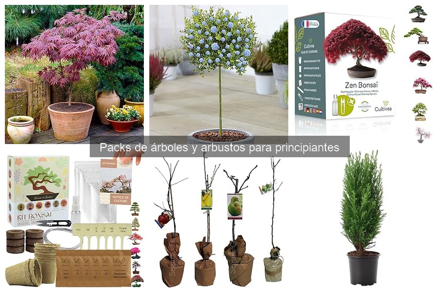 Dónde comprar packs de árboles y arbustos para principiantes