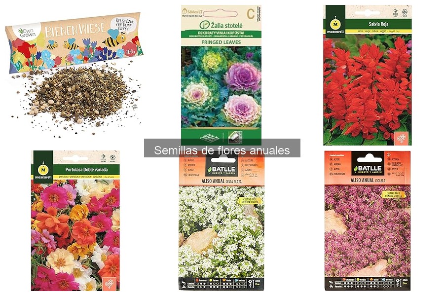 Dónde comprar semillas de flores anuales en línea