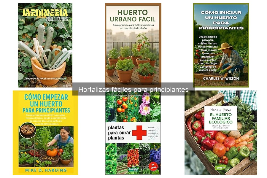 Dónde Comprar Semillas de Hortalizas para Principiantes