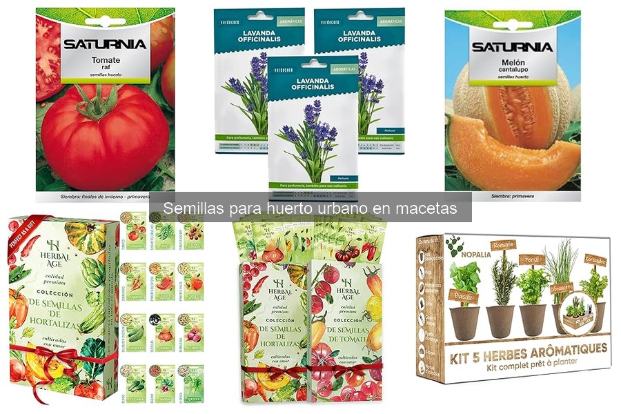 Dónde comprar semillas para huertos urbanos de calidad
