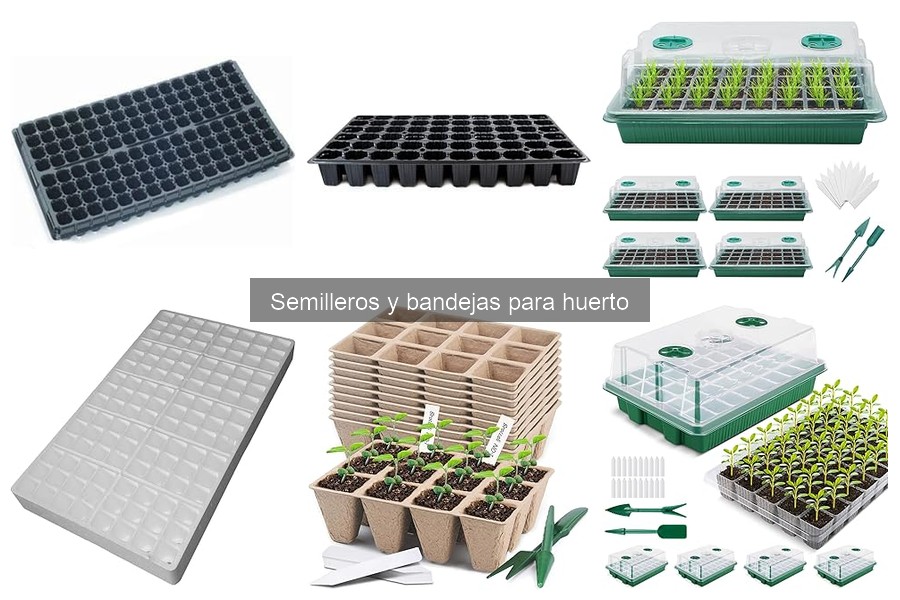 ¿Dónde comprar semilleros para huerto a buen precio?