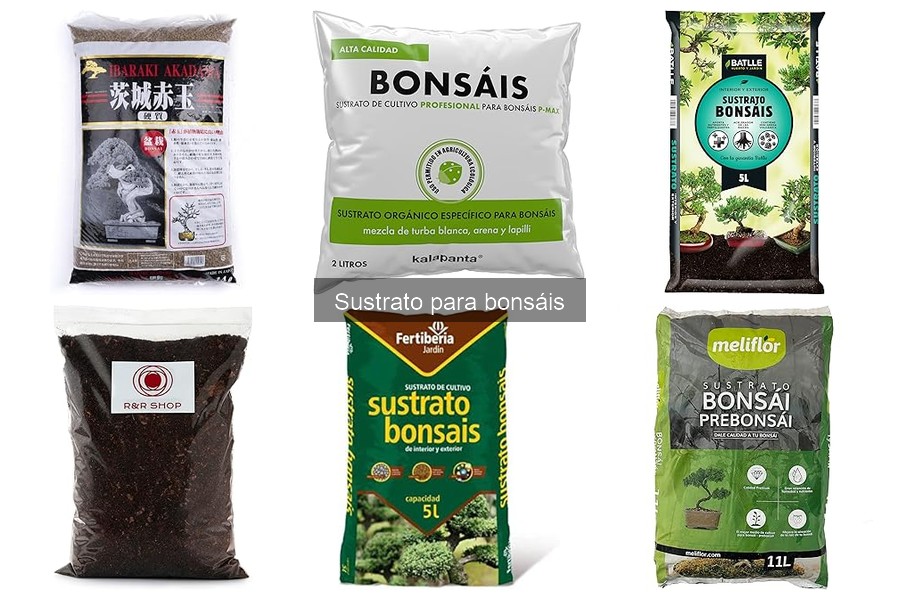 Dónde comprar sustrato para bonsáis de calidad
