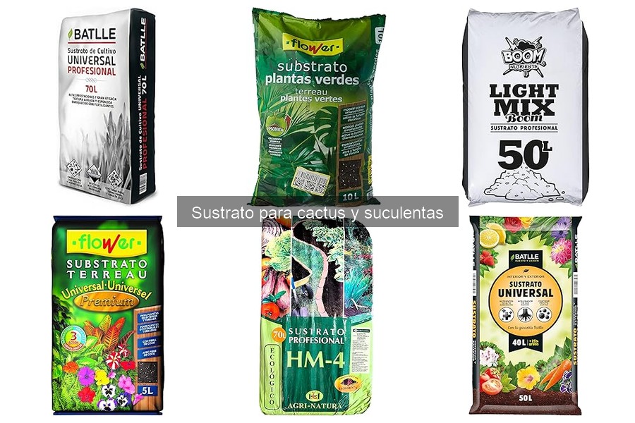 ¿Dónde comprar sustrato para cactus y suculentas?