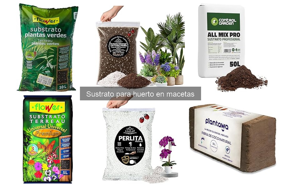 Dónde comprar sustrato para huerto en macetas: mejores opciones