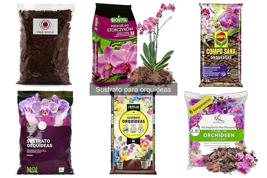 Dónde comprar sustrato para orquídeas en línea a buen precio