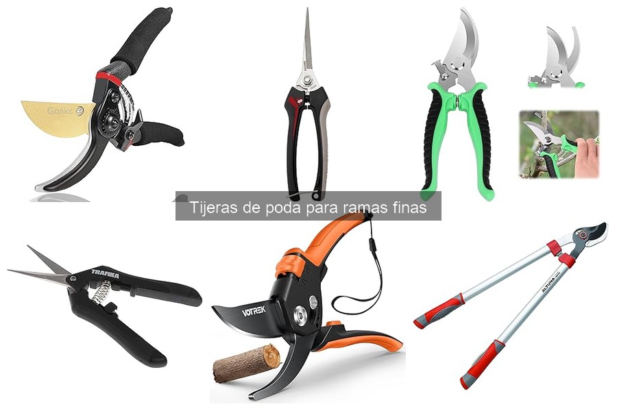 Dónde comprar tijeras de poda para ramas finas: guías y precios