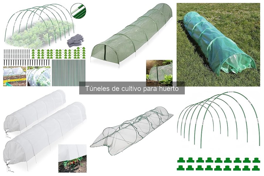 Dónde comprar túneles de cultivo y precios aproximados