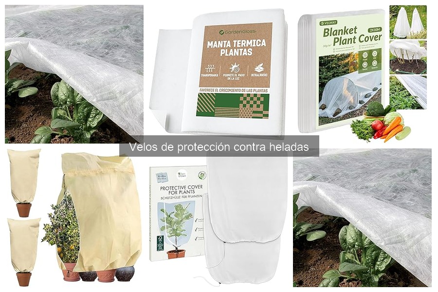 Efectividad de los velos de protección contra heladas en diversos climas